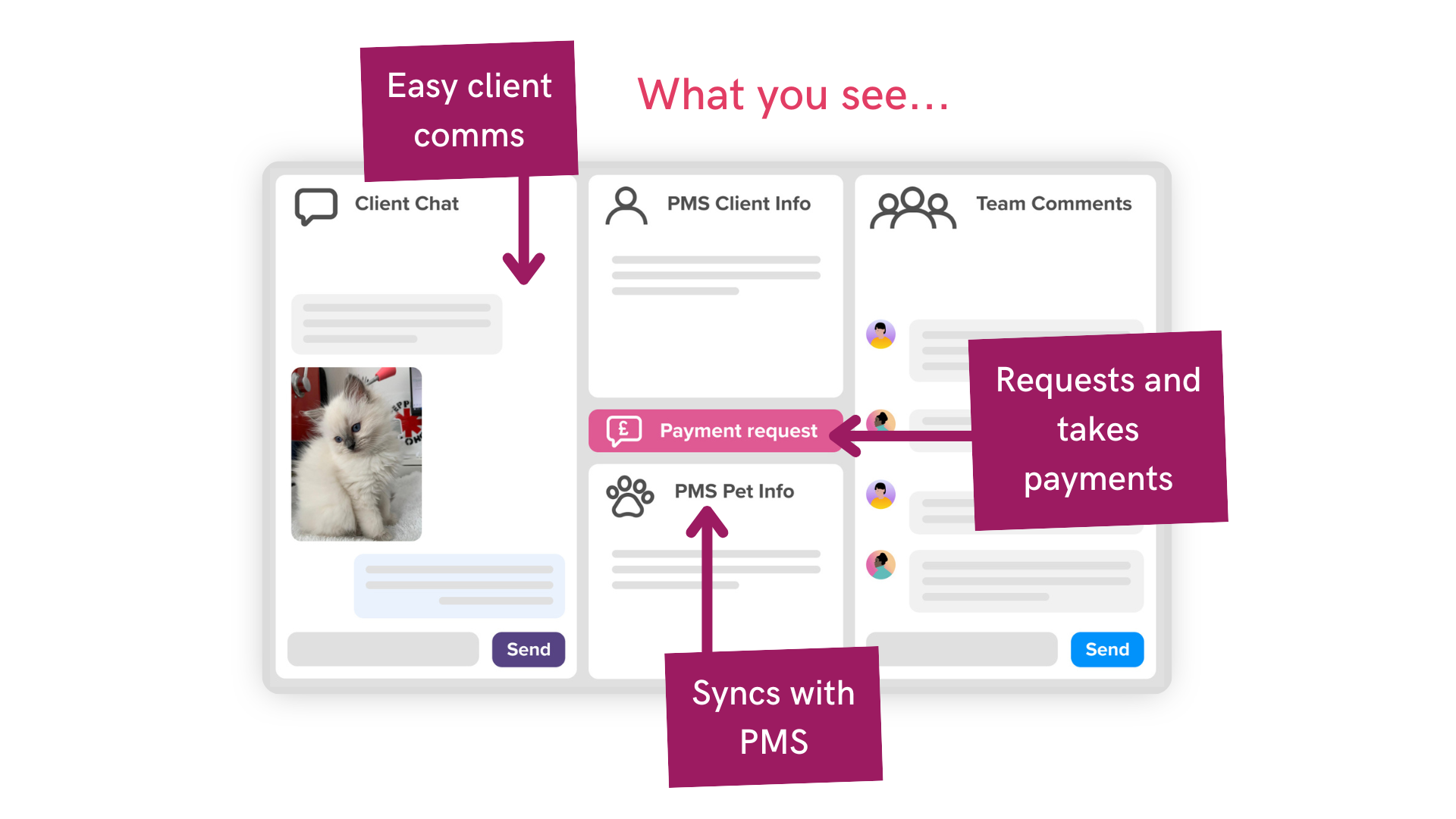 screenshot of Digital Practice Vet